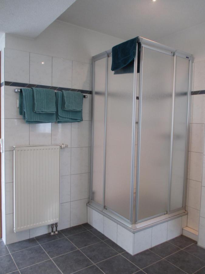 Haus Steininger Apartment Schluchsee Bagian luar foto