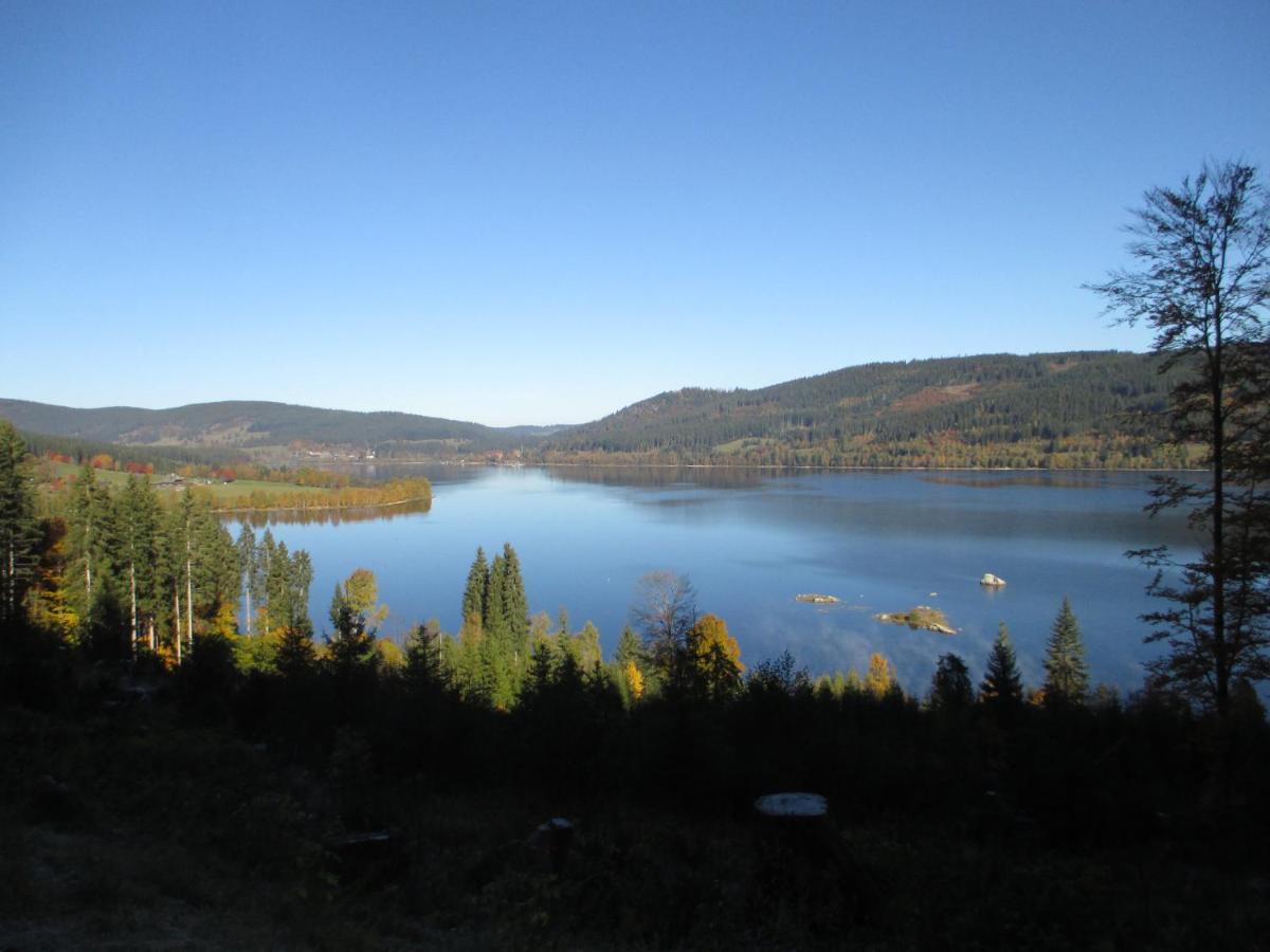 Haus Steininger Apartment Schluchsee Bagian luar foto