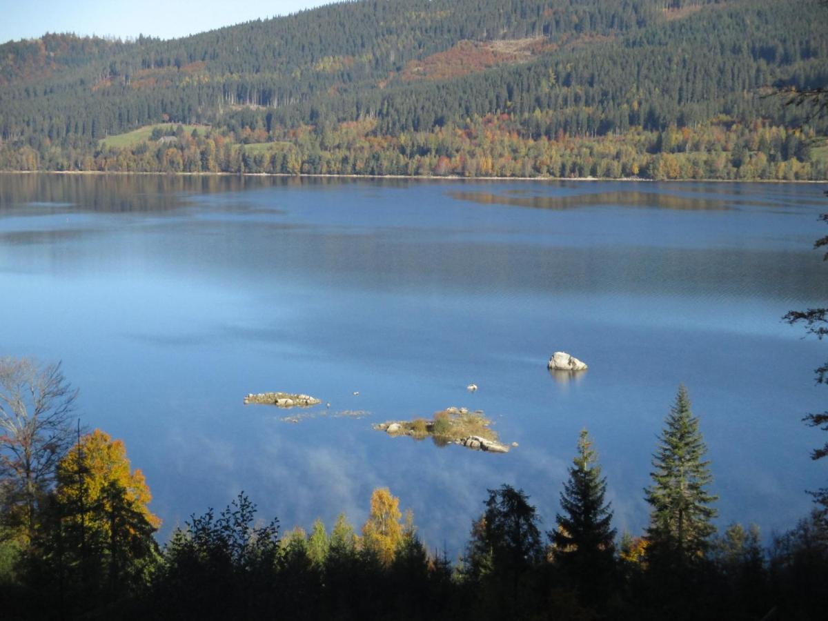 Haus Steininger Apartment Schluchsee Bagian luar foto