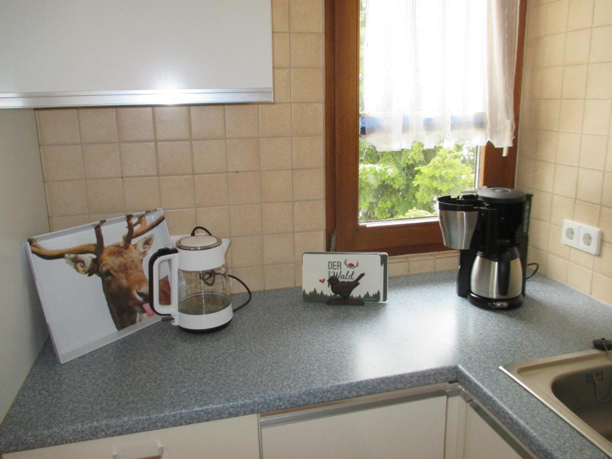 Haus Steininger Apartment Schluchsee Bagian luar foto